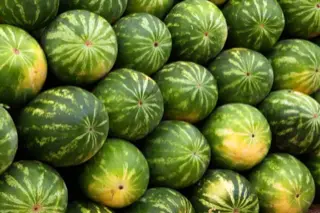 watermelon